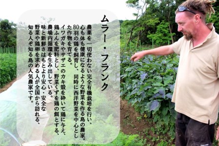 季節の野菜詰め合わせ（5～6種）！農薬不使用だから安心安全！