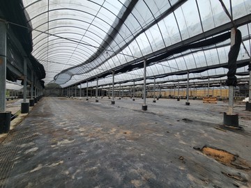 卓蘭豐田一般農業區地形正大面寬農場｜苗栗縣卓蘭鎮豐田