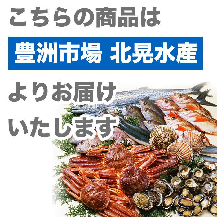 サーモン 鮭屋のトラウトサーモンフィレ 650gup 1枚