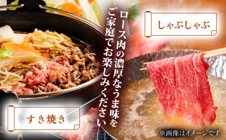 宮崎県産黒毛和牛パイン牛ロースすき焼きしゃぶしゃぶ用(500g)　肉 牛 牛肉