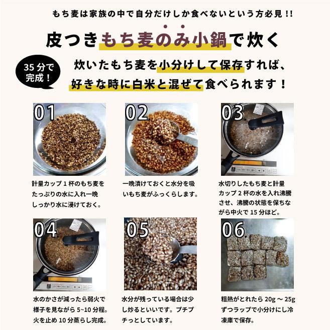 もち麦 国産 ダイシモチ 紫もち麦 プチコさん 900gｘ3袋 2.7kg  皮付き アントシアニン 腸内環境 食物繊維