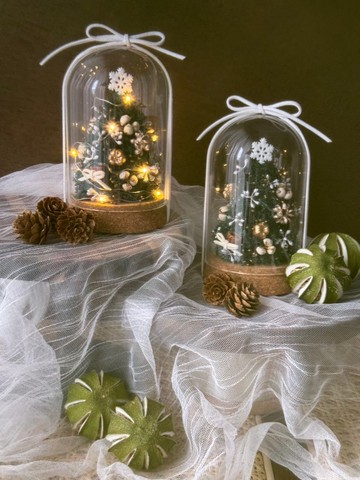 永生雪松聖誕樹玻璃盅 永生雪松 聖誕樹 聖誕禮物 聖誕節 永生花