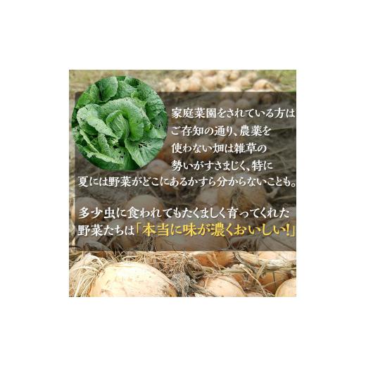 ふるさと納税 京都府 亀岡市 ＜アスカ有機農園＞旬の京野菜セットS＊毎月お届け全6回