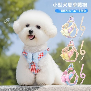 台灣熱銷 新款狗狗牽引繩 蝴蝶結狗胸背格子 韓系戶外遛狗 比熊泰迪狗狗牽引繩 頸圈 防暴衝 牽引繩