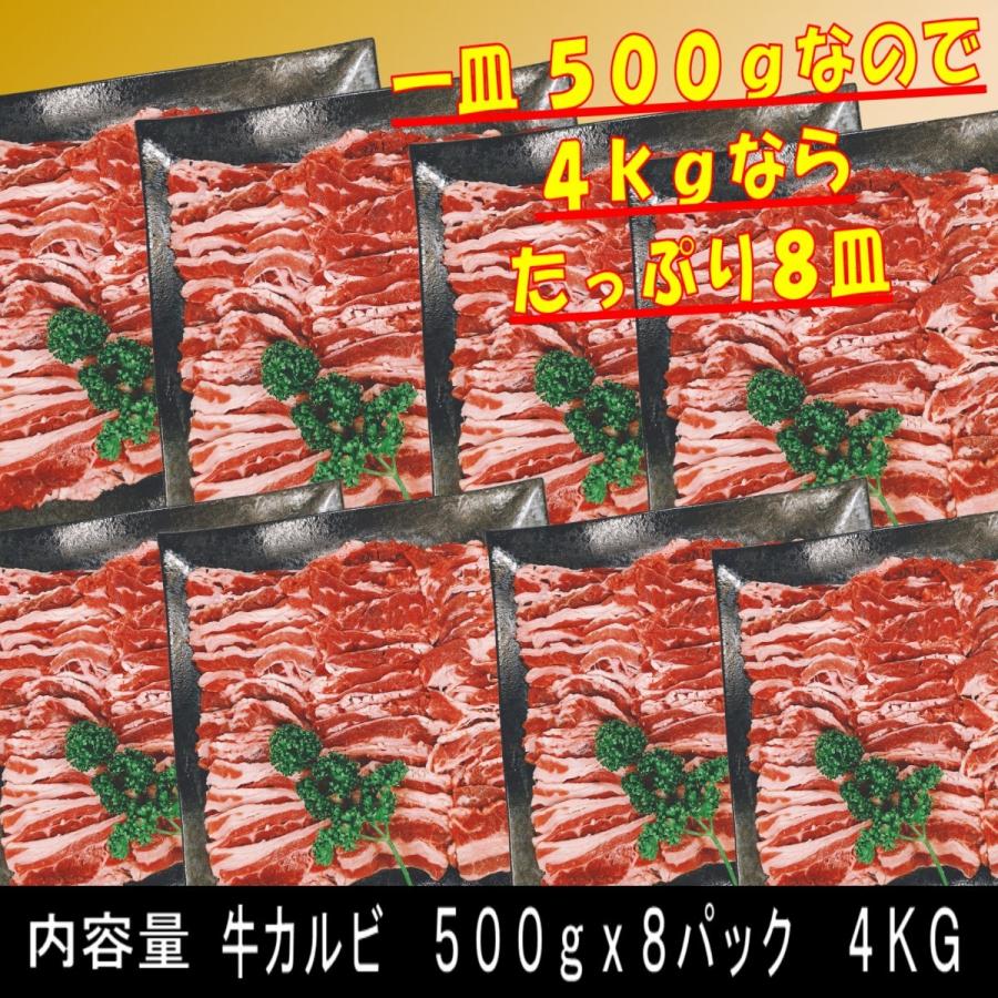 肉 バーベキュー 食材 牛肉 焼肉セット バーベキュー 肉 BBQ 肉 カルビ バラ バーベキューセット 食材 BBQ食材セット BBQ 焼肉 牛丼 4kg 12〜15人前