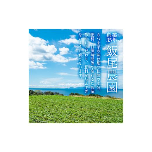 ふるさと納税 鹿児島県 長島町 《訳あり》飯尾農園の紅はるか(約10kg)miio-816