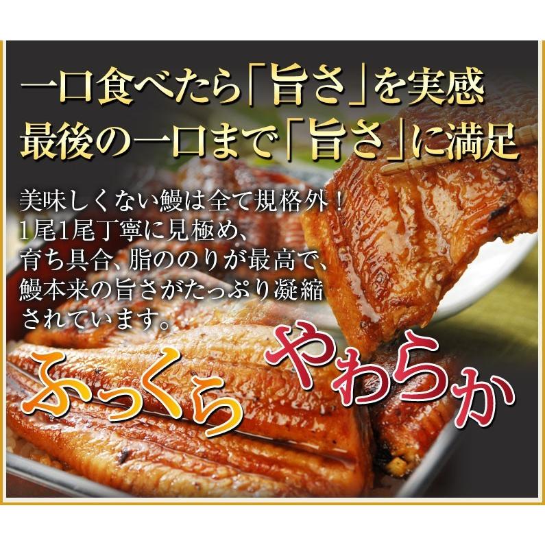 うなぎ 蒲焼き ご家庭用 国産 鹿児島産 長蒲焼き10本セット 約110g×10 タレ山椒付き 送料無料 クール