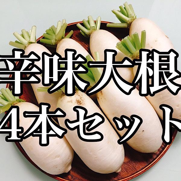 そば、うどんの薬味に！群馬県産　上州辛味大根4本セット　送料無料