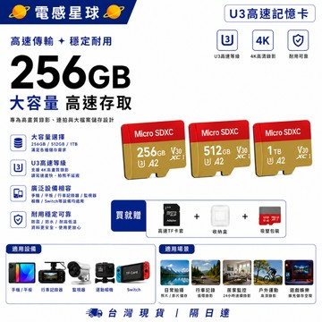 【現貨 買一送二】高速記憶卡 256g記憶卡 sd記憶卡 行車記錄儀記憶卡 記憶卡 U3 等級高速傳輸 監視器專用不斷錄