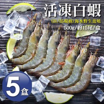築地一番鮮-31/35｜海水養殖白蝦500g｜5盒｜約15尾