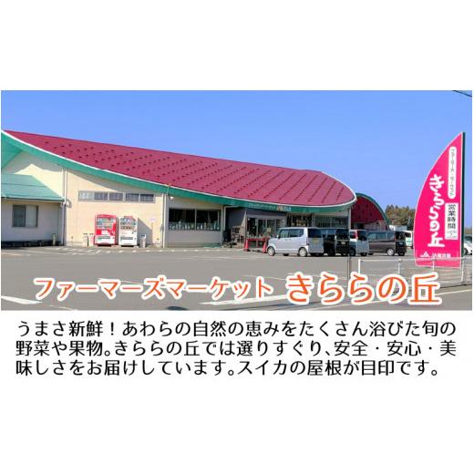 ふるさと納税 福井県 あわら市 《全6回》あわら満喫 6種 フルーツ定期便 《あわらの旬が色々楽しめる♪》／ 果物 旬 食べ比べ 贈り物 定期便 マル…