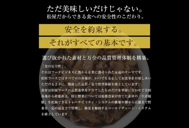 牛丼 松屋 プレミアム仕様 牛めしの具 20個 冷凍 セット