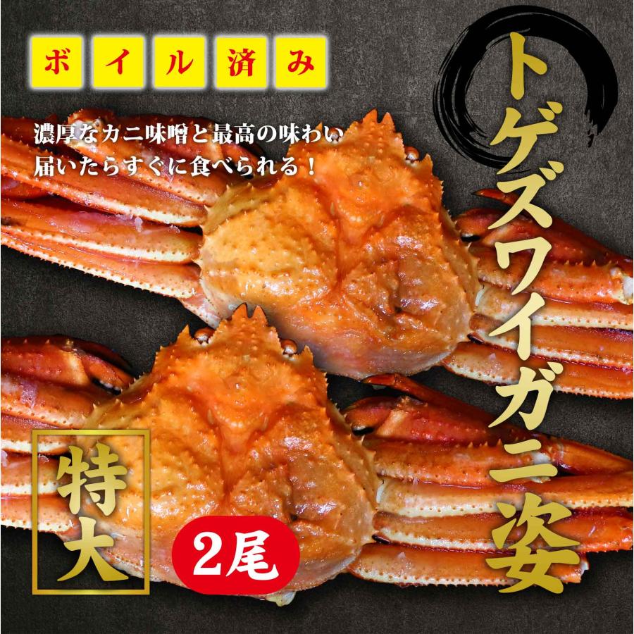 トゲズワイガニ姿 2尾 1.3kg（650g×２）北海道ふるさと水産おすすめ（※同梱不可商品）かにギフト ボイルズワイガニ お歳暮ギフト 北海道ふるさと水産