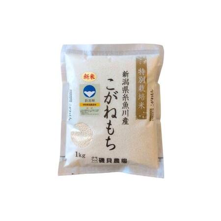 ふるさと納税 新潟県産特別栽培米『こがねもち』1kg 令和5年産新米 ふっくらモチモチ！ 芳醇な甘い香り 磯貝農場 新潟県糸魚川市