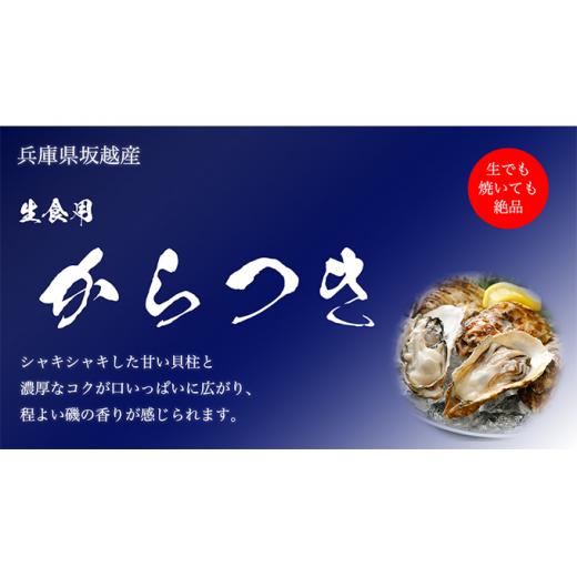 ふるさと納税 兵庫県 赤穂市 定期便 牡蠣 坂越かき 殻付き牡蠣 28個 オイスターナイフ付き[ 生牡蠣 かき カキ 殻付 生食