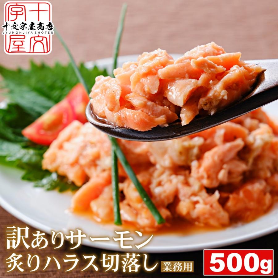 選べる 訳あり生食用 サーモン500g すき身 ネギトロ 切落し 中落ち 炙り ハラス 端材 刺身 冷凍 切り落とし 端っこ 鮭 徳用 手巻き寿司 サンドイッチ パスタ