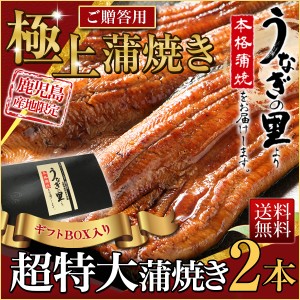 御歳暮 お歳暮 ギフト うなぎ 蒲焼き 国産 鹿児島産 超特大蒲焼 2本 うなぎの里 送料無料 海鮮 ギフト お誕生日 内祝い プレゼント  クー