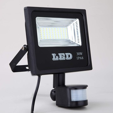 30W紅外線感應燈 B253-17001K