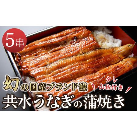 ふるさと納税 幻の国産ブランド鰻　共水うなぎのかば焼き　5串（約115g×5）タレ・山椒付き　極上の甘みとうまみ、ふっくらとした食感 栃木県栃木市