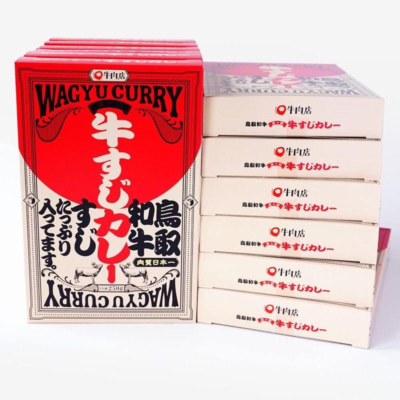 国産牛すじカレ 鳥取和牛 牛すじカレー 250g 12箱セット 鳥取県 ご当地カレー レトルトカレー カレールー