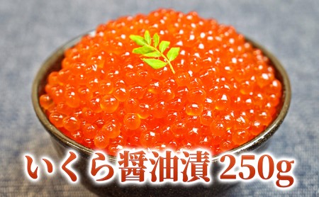 日高産いくら醤油漬250g