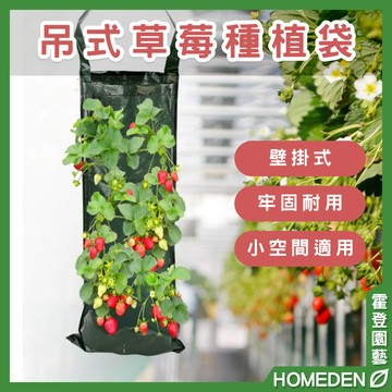 【隔日到貨】吊式草莓種植袋 懸掛式 番茄種植袋 園藝用品 植物袋掛式 美植袋 PE袋【HOMEDEN霍登園藝】