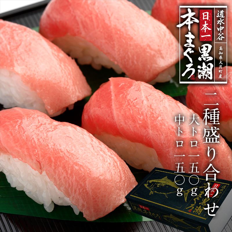 日本一黒潮本まぐろ　2種盛り合わせ　大トロ150ｇ、中トロ150ｇ