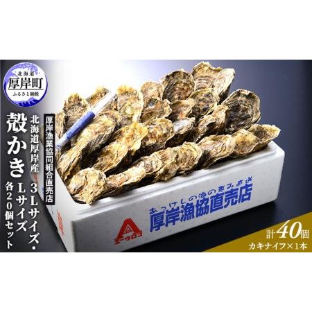 ふるさと納税 厚岸産 殻かき 3L 20個・L 20個セット (合計40個) 北海道 牡蠣 カキ かき 生食  北海道厚岸町