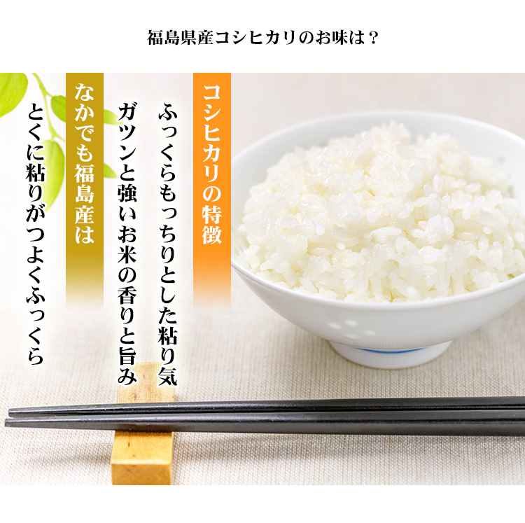 新米 米 白米 5kg コシヒカリ 福島県産 令和5年産 コシヒカリ お米 5キロ 安い 送料無料 沖縄 配送不可