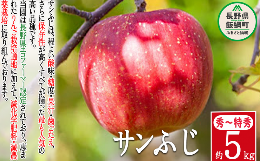 りんご サンふじ 秀 ～ 特秀 5kg 渡辺農園 沖縄県への配送不可 2023年12月上旬頃から2024年1月中旬頃まで順次発送予定 令和5年度収穫分 エコファーマー認定 減農薬栽培 長野県 飯綱町 [0169]