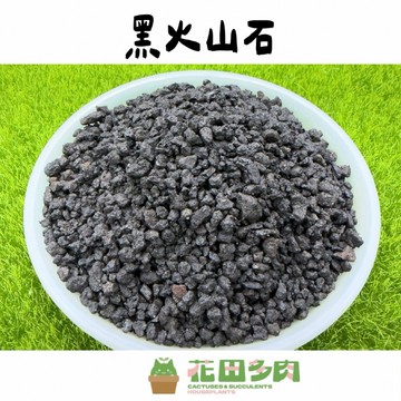 《花田多肉》🌵【黑火山石】 500ml 多肉植物/仙人掌/介質/鋪面石/塊根/石頭/園藝/盆栽/塊根/龍舌蘭/仙人掌