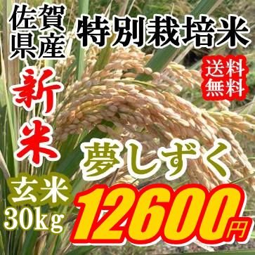 新米Ａ評価令和5年産特価玄米30kg九州佐賀県特別栽培米夢しずく精米可