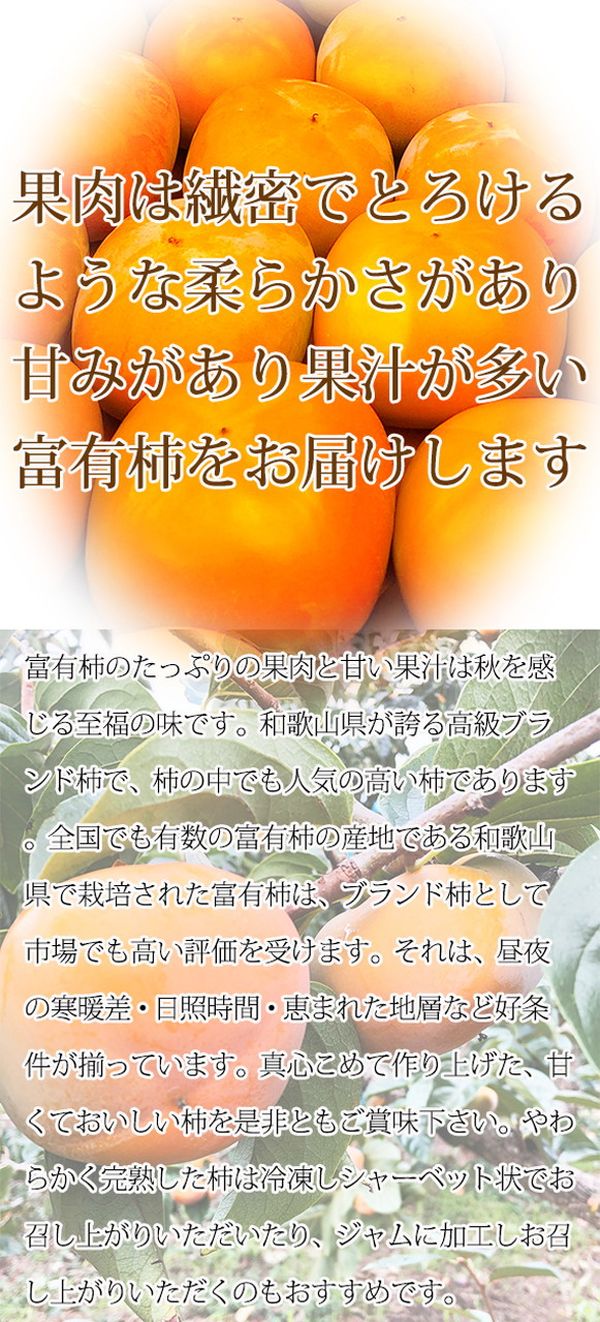 秀品　和歌山秋の味覚　富有柿　約4kg　化粧箱入 ※着日指定送不可 ※2024年11月上旬～11月下旬頃に順次発送予定 ※沖縄・離島への発送不可