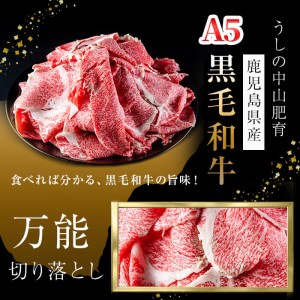 b5-138 ＜A5等級＞鹿児島県産黒毛和牛万能切り落とし 計1.6kg(400g×4P)