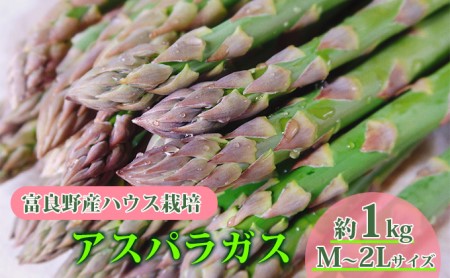 北海道 富良野産 アスパラガス M～2Lサイズ 約1kg  ハウス栽培 (山本農園)