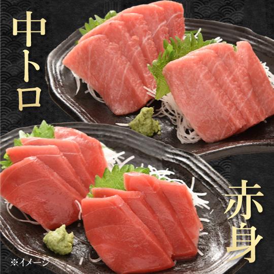 まぐろの食べ比べ 大起水産 セット ギフト 20