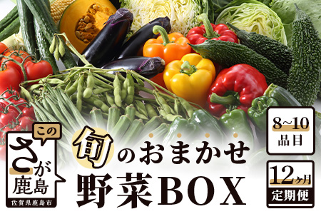 旬のおまかせ 野菜 BOX 野菜定期便 旬の野菜 詰め合わせ 野菜 新鮮 野菜 8～11品目 H-13