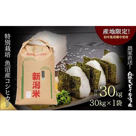 ふるさと納税 ≪令和5年産≫　農家直送！魚沼産コシヒカリ特別栽培「白羽毛の米」玄米(30kg×1袋) 30kg 新潟県十日町市