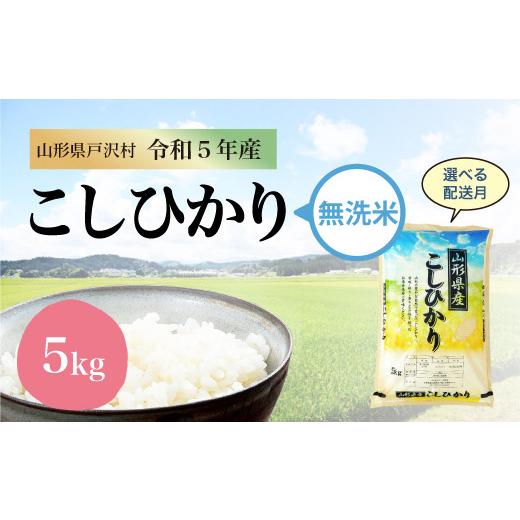 令和5年産 コシヒカリ 5kg（5kg×1袋） ＜配送時期指定可＞ 山形県 戸沢村