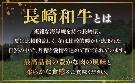 長崎和牛 霜降り サイコロステーキ (500g×2) 計1kg   ステーキ肉 赤身 牛肉 和牛 焼肉 [BAJ091]