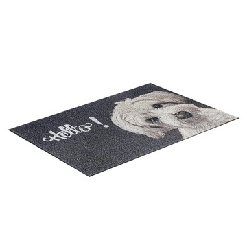 dayneeds 日需百備 萌寵絲圈地墊  65 x 45cm  雪納瑞  1個