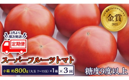 《2024年2月上旬発送開始》  スーパーフルーツトマト 小箱 約800g×1箱×3回 お届け！ 糖度9度以上 フルーツトマト トマト とまと 野菜 茨城県産 [BC050sa]