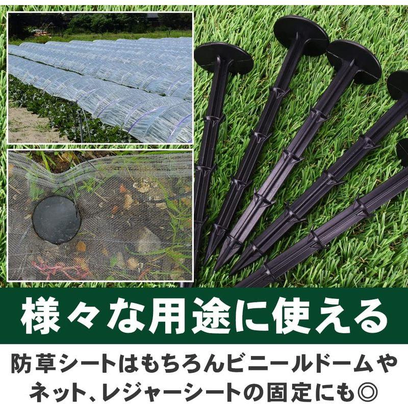 固定ピン 挿し込み 大きな釘頭 プラスチック製 錆びにくい 園芸 農業 防草シート 抜けにくい