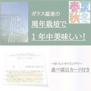 ふるさと納税 クラウンメロン規格外大玉　2玉・6ヵ月毎月お届け全6回【配送不可地域：離島・北海道・沖縄県.. 静岡県磐田市