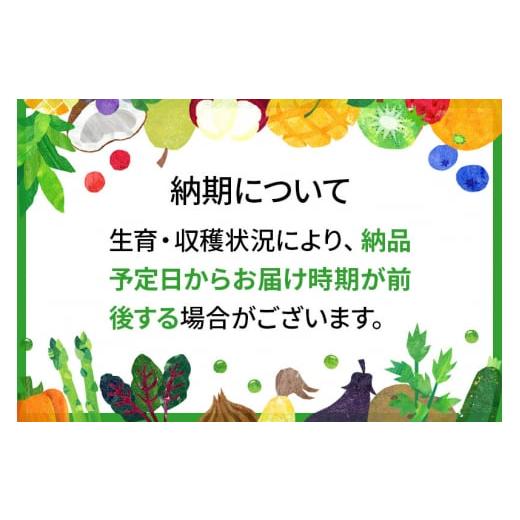 ふるさと納税 秋田県 横手市 完熟ふじ秀品 約5kg（16〜18個入）