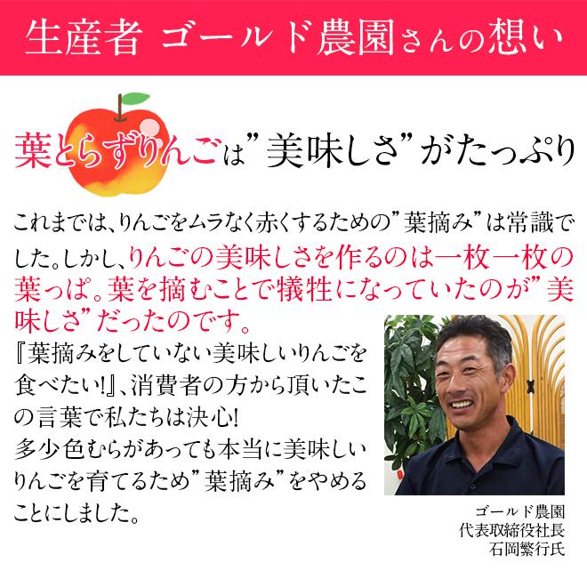 りんご サンふじ 王林 ミックス 葉とらず 5kg (14玉〜18玉入り) 訳あり 産地直送 青森県産 リンゴ 林檎 あまい 果物 くだもの フルーツ 11月下旬より発送