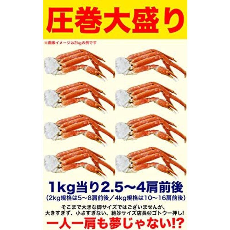 大型 ズワイガニ 脚 4kg前後 総重量 10?16肩前後 ボイル ずわいがに 蟹 足