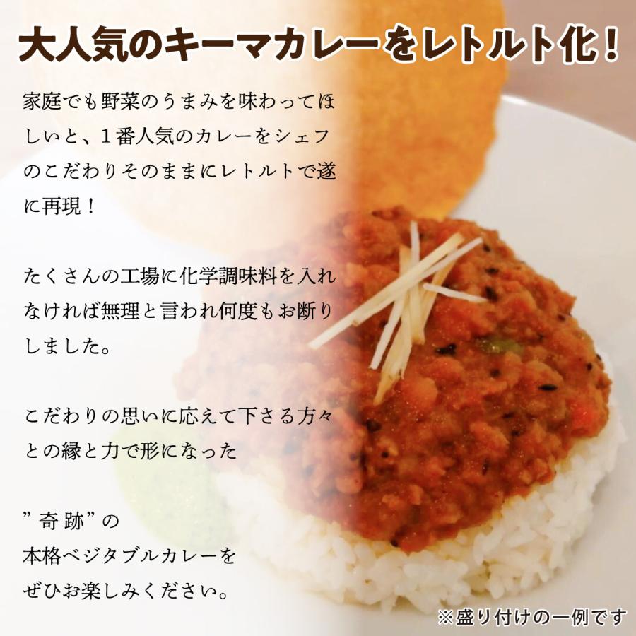 高級 ベジタブルキーマカレー 180×10パック│グルテンフリー ベジタリアン対応 ヴィーガン対応 プレゼント ギフト 内祝い 無添加 レトルトカレー カレー 野菜