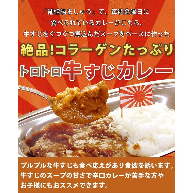 海上自衛隊『補給艦ましゅう』のとろとろ牛すじカレー レトルト 200g×3食入り×2箱  6食入り