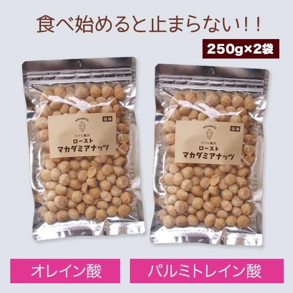 香ばしい ロースト マカダミアナッツ 500g  塩味 無添加 素焼き マカデミアナッツ おやつ おつまみ